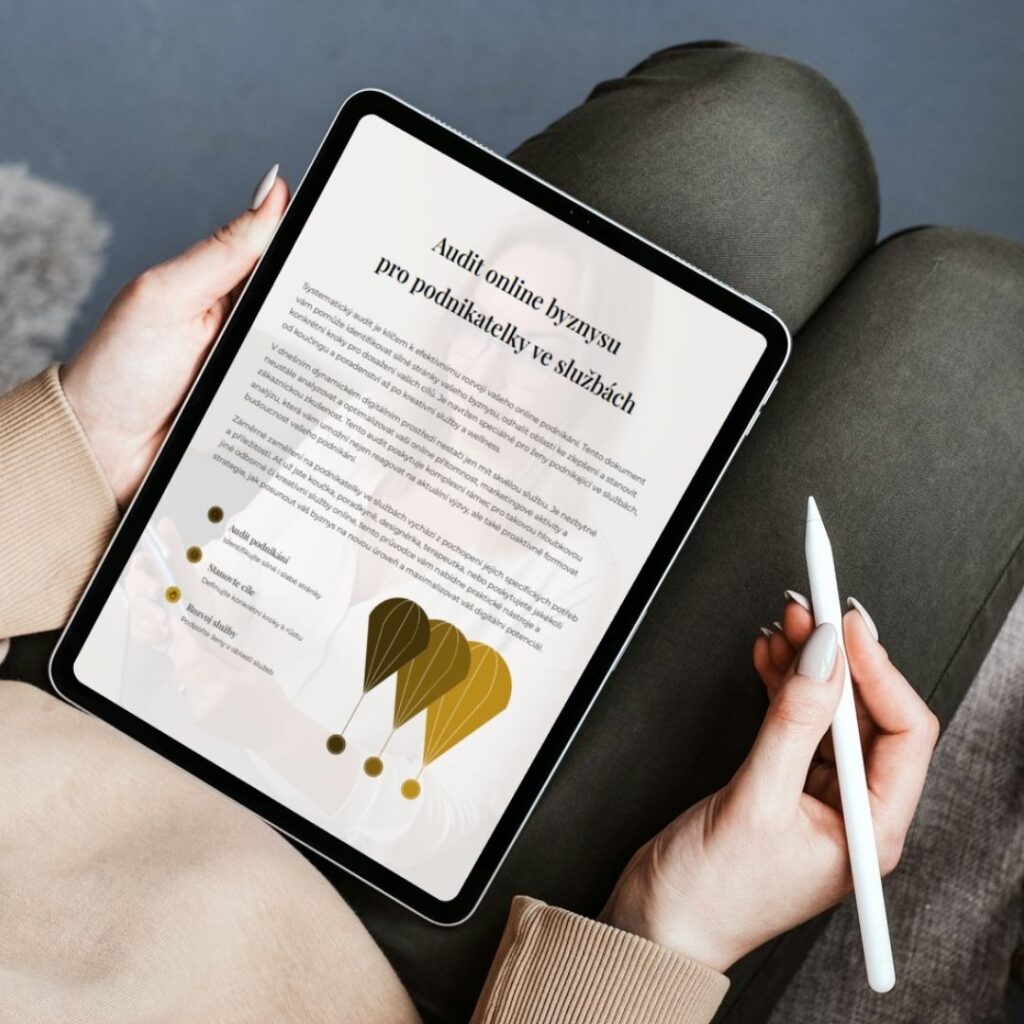 audit online podnikani mockup